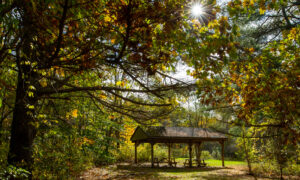 Park dinning area Photo Credits: Serena Folding