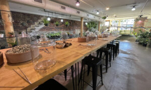 Terrarium interior, Photo Credits: Serena Folding