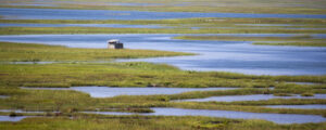 Marshland, Photo Credits: Serena Folding