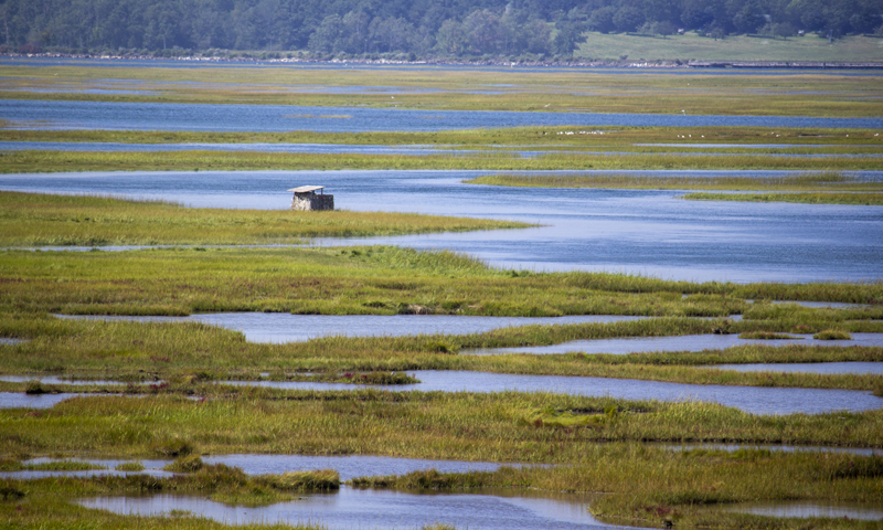 Marshland, Photo Credits: Serena Folding