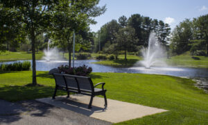 Park bench, Photo Credits: Serena Folding