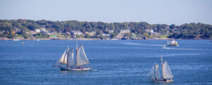 Sailboats on a sunny day, Photo Credits: Serena Folding