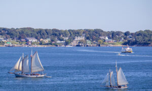 Sailboats on a sunny day, Photo Credits: Serena Folding