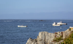 Boats anchored, Photo Credits: Serena Folding