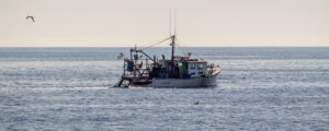 Fishing boat on the ocean, Photo Credits: Serena Folding