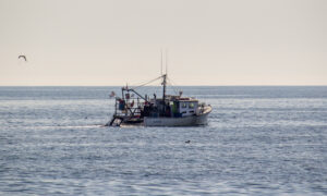 Fishing boat on the ocean, Photo Credits: Serena Folding