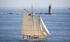 Sail boat on the water Photo Credits: Serena Folding
