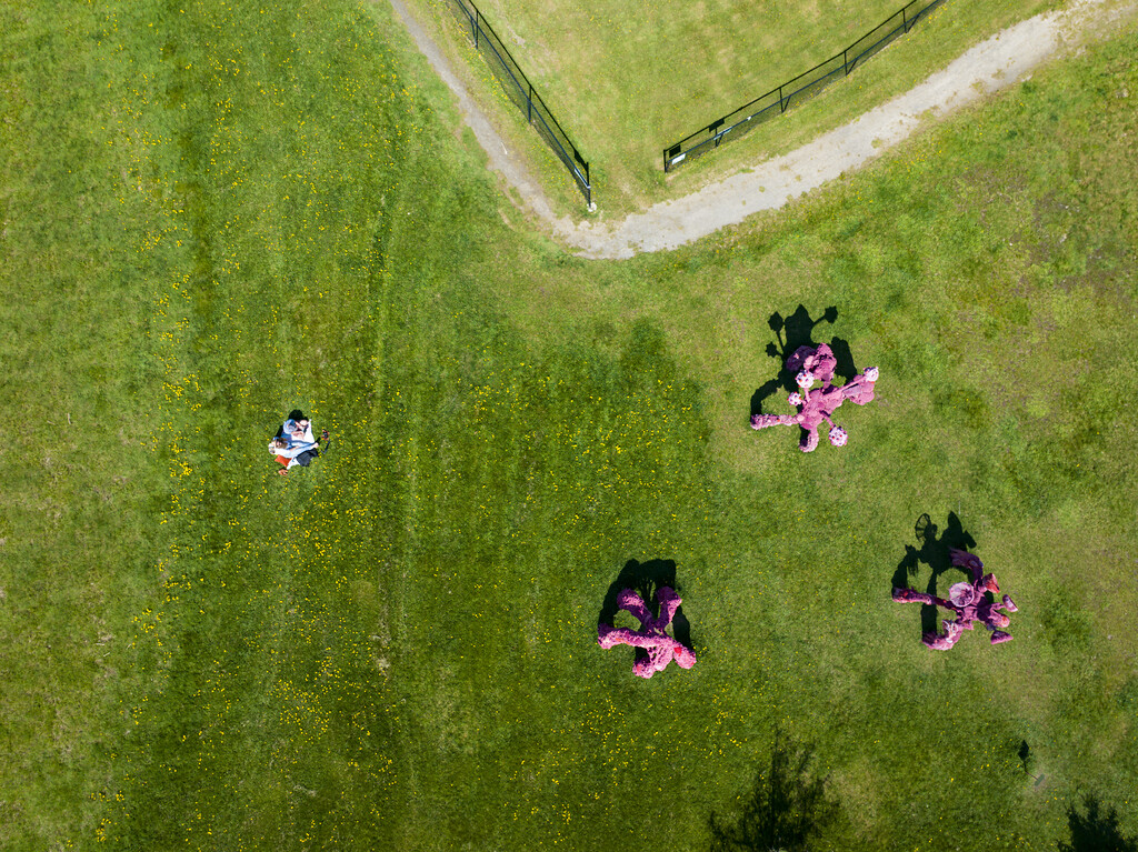 Sculptures near Back Bay, 
Photo Credit: Capshore Photography 