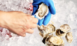 Oyster shucking on ice, Photo credit: Lone Spruce Creative, courtesy of Maine Office of Tourism