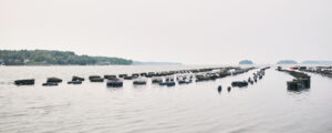 Sea traps, Photo credit: Lone Spruce Creative, courtesy of Maine Office of Tourism