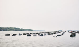 Sea traps, Photo credit: Lone Spruce Creative, courtesy of Maine Office of Tourism