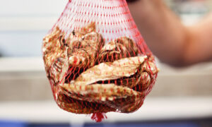 Oysters in a bag, Photo credit: Lone Spruce Creative, courtesy of Maine Office of Tourism