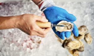 Oyster Shucking. Photo credit: Lone Spruce Creative, courtesy of Maine Office of Tourism