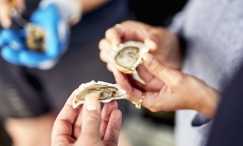 Oysters, Photo credit: Lone Spruce Creative, courtesy of Maine Office of Tourism
