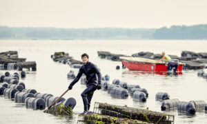 Man on sea traps, Photo credit: Lone Spruce Creative, courtesy of Maine Office of Tourism