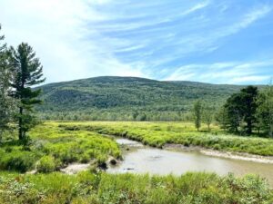 Acadia-National-Park-Stream-Photo-Credit-Visit-Portland-via-Kirstie-Archambault-L