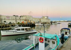 Working Waterfront, Photo Credits: Digital Edge