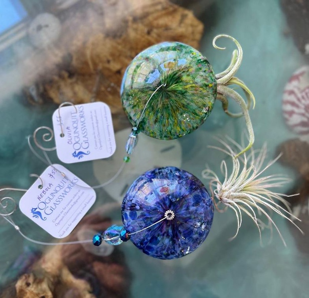 Jellies, Photo Credit: Ogunquit Glassworks Local art, PC: Ogunquit Glassworks
