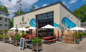 Root Wild storefront, Photo Credit: PGM Photography