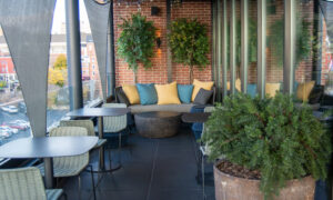 Lounge couch at Luna, Photo Credit: Lauren Peters at Visit Portland