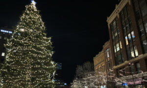 Monument Square Tree at night. Photo Credit: Lauren Peters at Visit Portland
