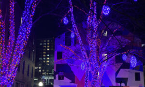 Pandora's Lights in Tommy's Park. Photo Credit: Lauren Peters at Visit Portland