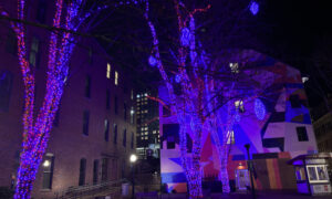 Pandora's Lights in Tommy's Park. Photo Credit: Lauren Peters at Visit Portland