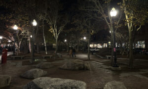 Lights in a park. Photo Credit: Lauren Peters at Visit Portland