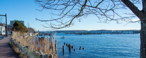 Portland Ocean; Photo Credit: Lauren Peters at Visit Portland