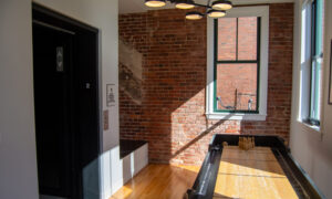 Docent's Collection, Photo by: Lauren Peters