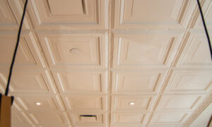 Docent's Collection, Photo by: Lauren Peters