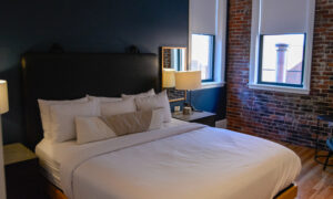 Docent's Collection, Photo by: Lauren Peters