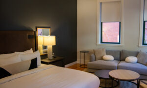 Docent's Collection, Photo by: Lauren Peters