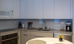 Docent's Collection, Photo by: Lauren Peters