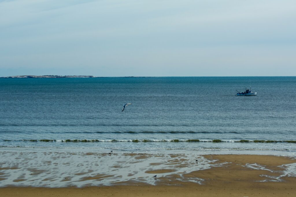 Alouette Beach Resort, Photo by: Lauren Peters / Visit Portland