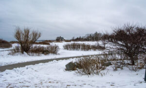 Portland Head Light Park; Photo Credit: Lauren Peters at Visit Portland
