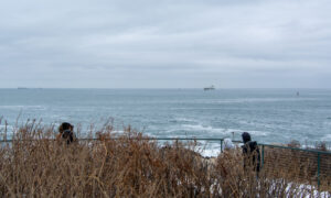 People looking out; Photo Credit: Lauren Peters at Visit Portland