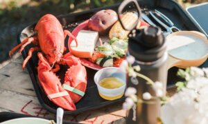 Dining at The Ecology School at River Bend Farm. Photo Credit: Christina Wnek
