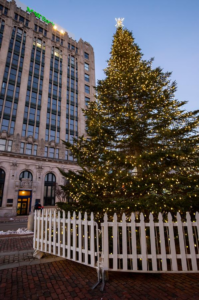 Portland Tree; Photo Credit: Serena Folding Photography