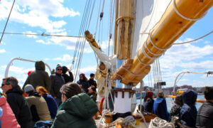 Creator: Ciara Turner-Ewert; Copyright: © ATTA / Ciara Turner-Ewert