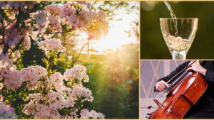 Spring Salon Social; Photo courtesy of PCMF