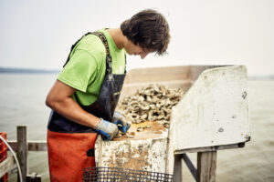 Man shucking oysters Photo Credit: Lone Spruce Creative, courtesy of Maine Office of Tourism