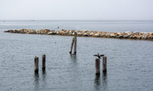 Knack Factory Shoot, Photo Credit: Lauren Peters at Visit Portland