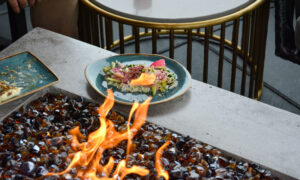 Luna, Photo Credit: Lauren Peters at Visit Portland