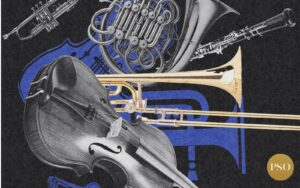 PSO String Octet; Photo courtesy of Portland Symphony Orchestra