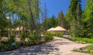 Community of outdoor yurt suites on gravel path ; Photo Credit: Peter G. Morneau Photography