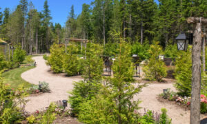 Dirt path winding through community area and green trees; Photo Credit: Peter G. Morneau Photography