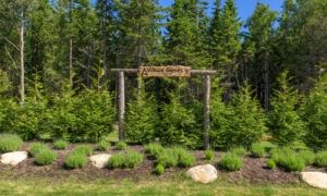 Village Games wooden sign in front of green trees; Photo Credit: Peter G. Morneau Photography