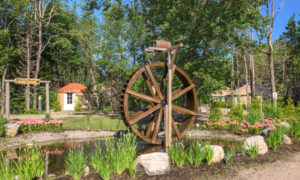 Water wheel in pound with pink tulips; Photo Credit: Peter G. Morneau Photography