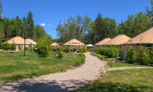Community of outdoor yurt suites on sunny day ; Photo Credit: Peter G. Morneau Photography